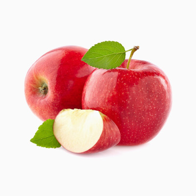دفترچه خرس قهوه ای